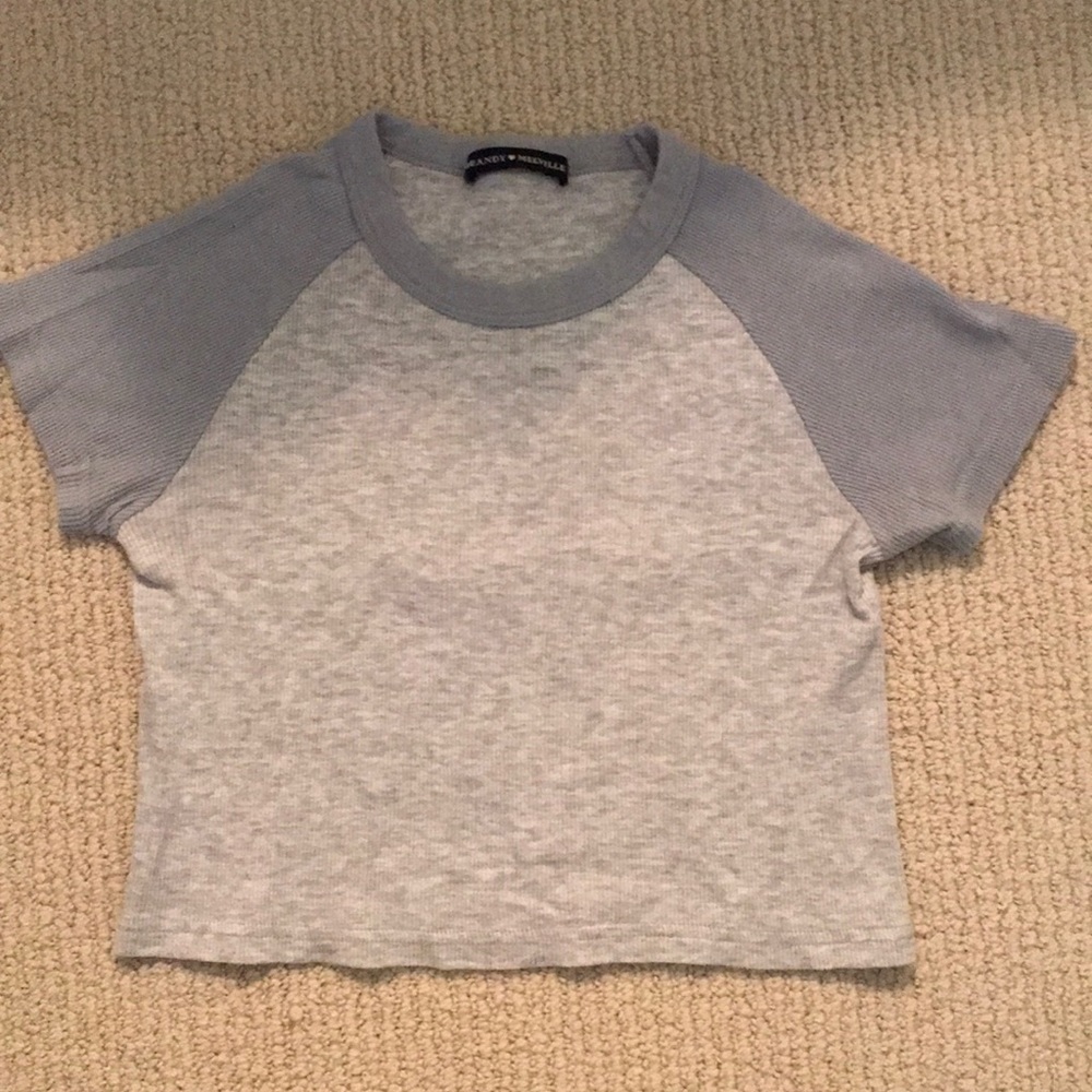 Brandy Melville Cropped T-shirt
